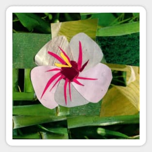 A Flower from a Walk Sticker